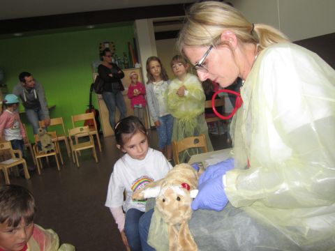 Sommerfest - Teddyklinik - 103.jpg